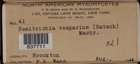 Image Associated With the Occurence